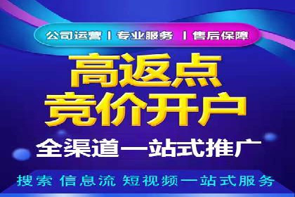 案例解析：网络推广竞价策略